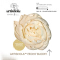 Artishola™ PEONY Bloom - sola wood flower