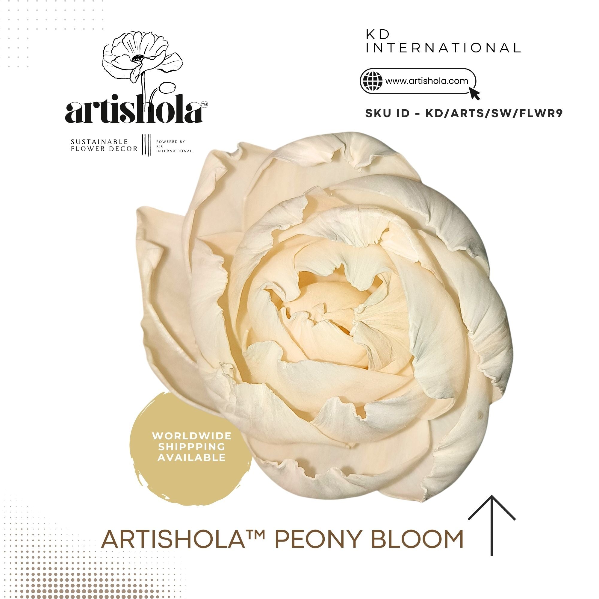 Artishola™ PEONY Bloom - sola wood flower